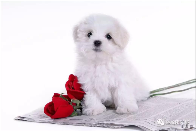 1520300323542845.png 图片6.png